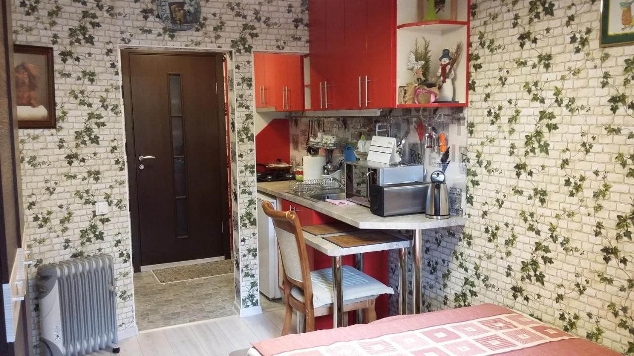 Small And Cozy Studio Apartment Riga Exterior foto
